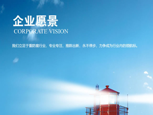 公司愿景